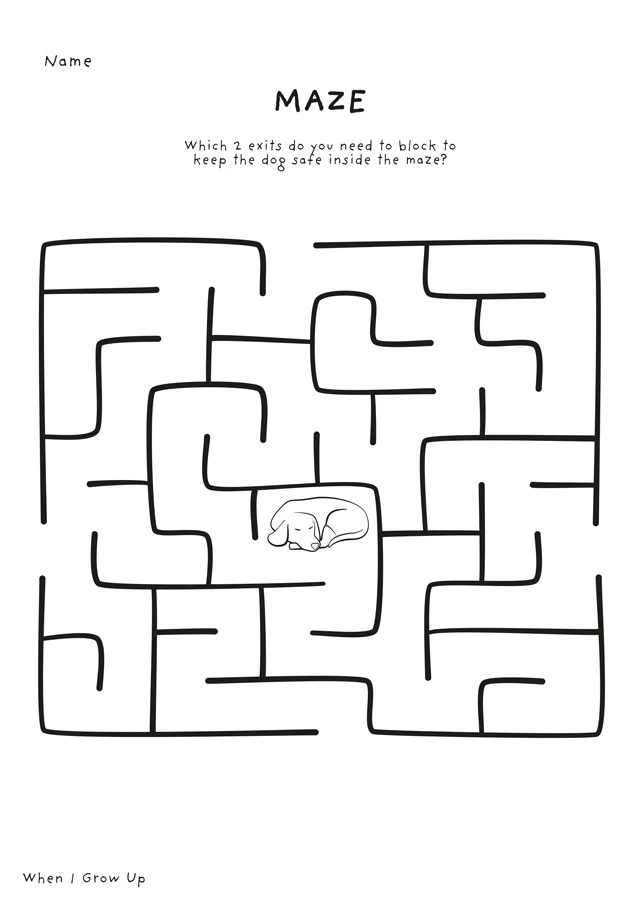Maze